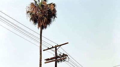 California's Ban on Gas-Powered Cars Could Wreak Havoc on Its Energy Grid