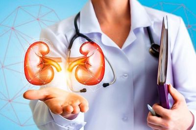 Study Reveals Existing Medicines Prevent To Cause Kidney Disease