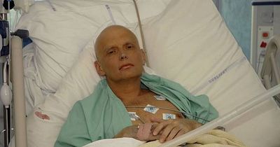How did Alexander Litvinenko die? The shocking true story behind the ITV drama