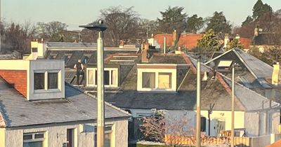 Edinburgh locals baffled as roofer in t-shirt installs solar panels in sub zero temperatures