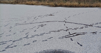 Urgent warning issued over walking across frozen pond at popular visitor site