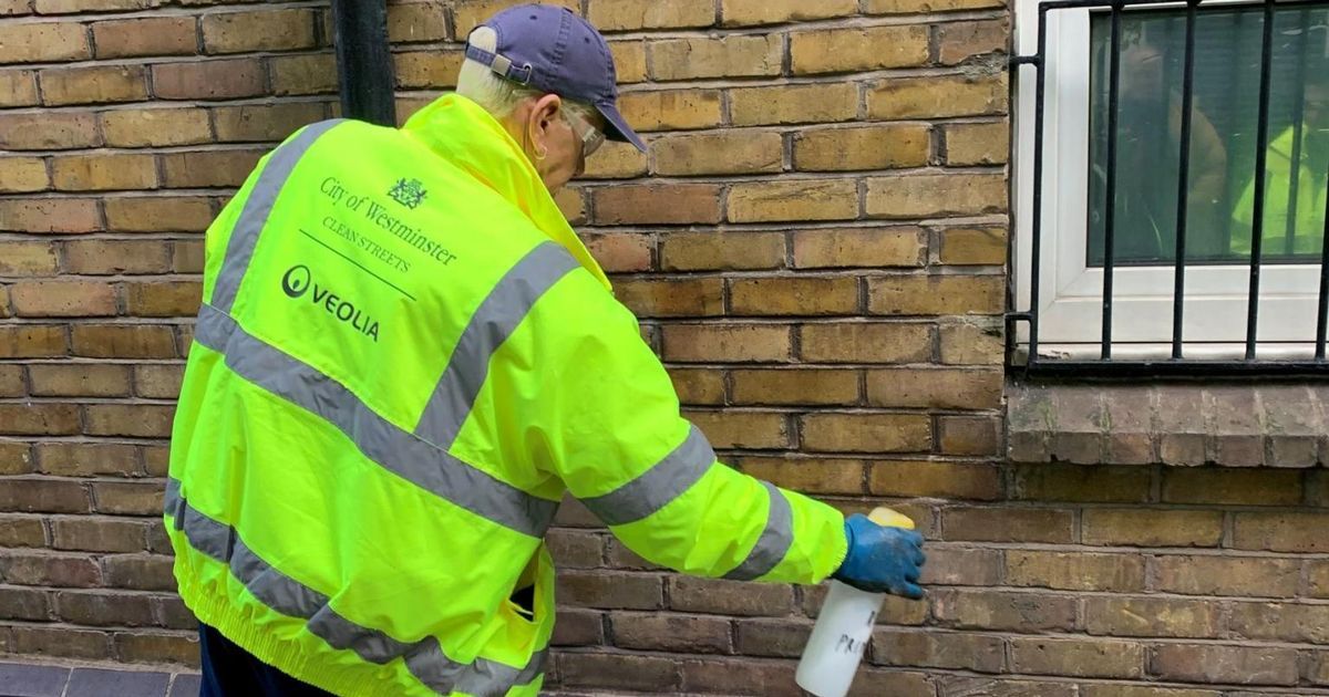 Council puts 'pee paint' on the walls of side streets…