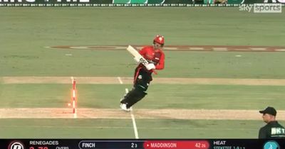 Bail mysteriously comes off by itself during Big Bash clash leaving batter bewildered