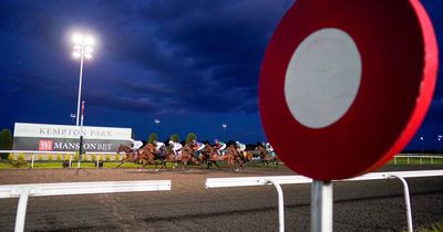 Newsboy's horse racing tips for Friday's two all-weather cards, including Kempton Nap
