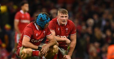 Wales' embarrassment of back-row riches for Six Nations and who Gatland is likely to pick