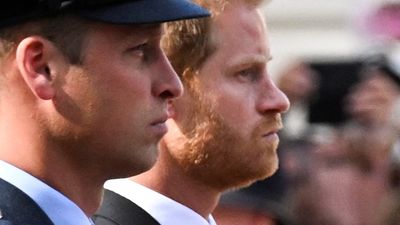 Palace silent as Prince Harry accuses Prince William's office of briefing against him, in latest Netflix episodes