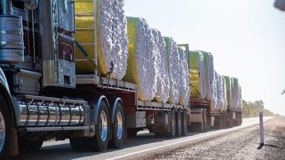 North Australia's lucrative cotton industry set to double in size after bumper harvest