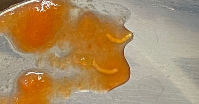 Mum left absolutely disgusted after finding maggots in Tesco Bolognese sauce