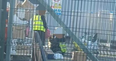 Video shows Evri / Hermes workers throwing packages around depot