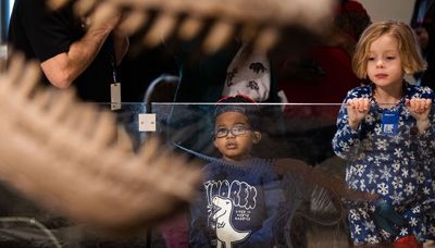 Story time at Field Museum lets youngsters explore the world of dinosaurs
