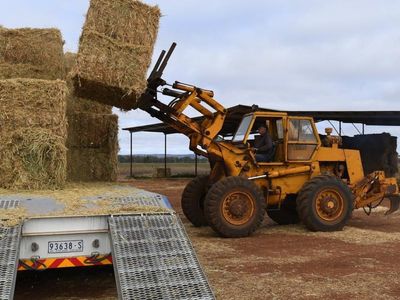 Hay exporter charged over Vic worker death