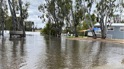 Murray River region floods cause tourism losses of about $130 million