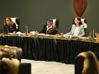 Indigenous women, kids at risk in custody