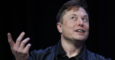 Twitter suspends accounts of multiple journalists who wrote about Elon Musk