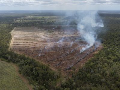Qld land-clearing report not up to scratch