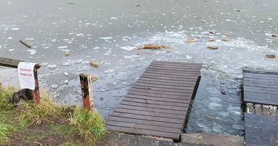 Dog dies after jumping into frozen lake