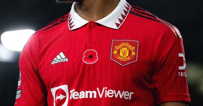 Manchester United shirt sponsor set to change after TeamViewer agreement
