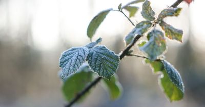 Greater Manchester borough-by-borough weather forecast this weekend after cold snap