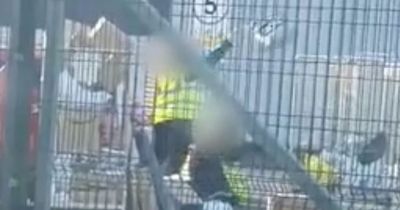 Evri workers caught carelessly hurling packages around depot in 'infuriating' footage