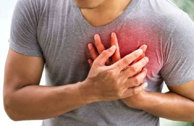 Heart Issues: Scientists Discover New Immune Target To Treat Cardiovascular Disease