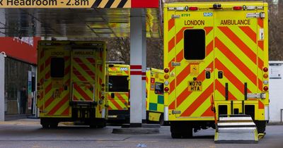 Flu cases 4,000% higher than last year as hospitalisations soar overtaking Covid