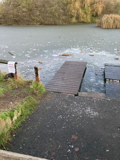 Dog dies after falling into frozen lake as children seen walking on ice