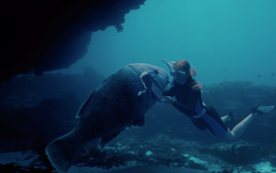 Tim Winton’s Blueback takes on new life as a feature film starring a blue groper and Eric Bana