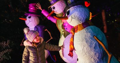 A 'magical time' at BeWILDerwood Cheshire’s festive light and panto trail