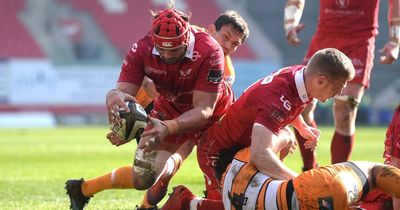 Scarlets v Cheetahs team news as Welsh side install new captain for South African Euro test