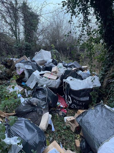 Enormous pile of Evri parcels found dumped in woods as suspected thief arrested
