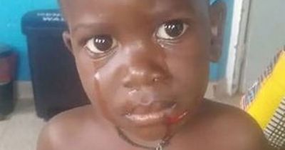 Hippo swallows two-year-old boy before spitting him back out alive moments later