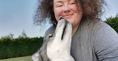 Edinburgh woman's fears for her cute husky in the snow after his fur falls out