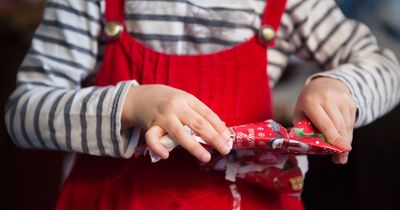 Festive plants and other hazards can poison children over Christmas, HSE warns