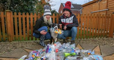 Litter-picking dog collects 1,000 plastic bottles after lazy humans dump them