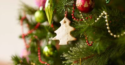 Christmas tree warning as decoration could be reason for cold and runny nose