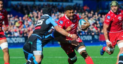 Welsh rugby's 20st prospect with family links to Taulupe Faletau is back and he's 'one for the future'