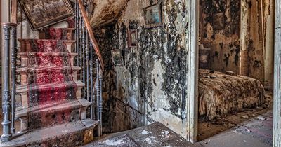 Inside the chilling abandoned horror movie-style house that was left to ‘swim in mould’