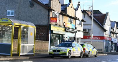 Woman in her 90s in police car crash while crossing road