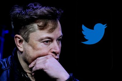 Elon Musk's effect on Crypto Twitter