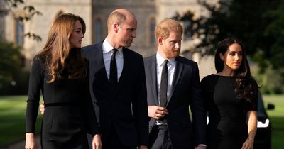 Harry suggests 'upset' William and Kate were jealous Meghan did 'better job' than them