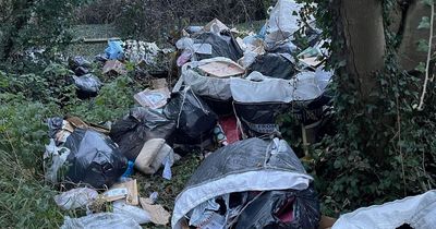 Massive pile of Evri parcels dumped in woodland as locals complain about late deliveries