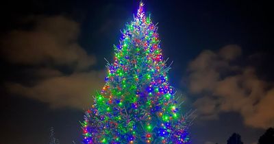 Nottingham baby loss charity 'angry, frustrated and devastated' as Christmas tree vandalised again