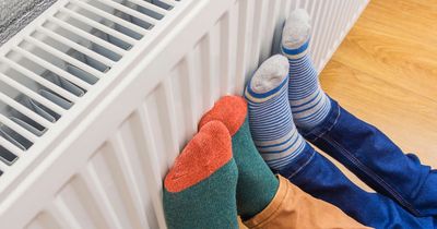 Expert shares easy tips every household can follow to save £250 on their heating bills