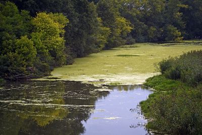 Government criticised for leaving overall water quality out of its environment targets