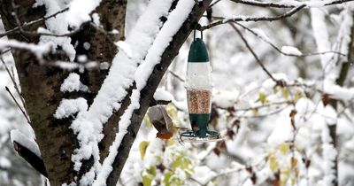 Met Office update on chances of a White Christmas as more snow forecast