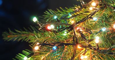 Running Christmas tree lights for two weeks could cost under €1 or over €20 depending on bulbs