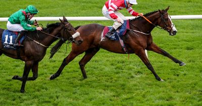 Top hurdler Jason The Militant goes for €57,000 at Christmas sale