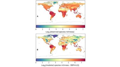 Computer modelling predicts climate change causing cascading animal 'co-extinctions'