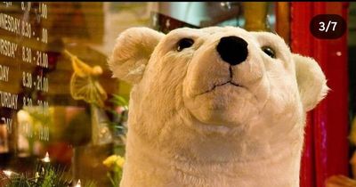 Popular Dublin restaurant offers reward for stolen bear 'no questions asked'