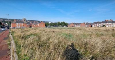 'Derelict' Saltwell land proposed for 62 home development